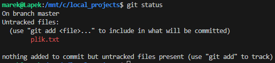 Screen z terminala przedstawiający Working Copy w Git.